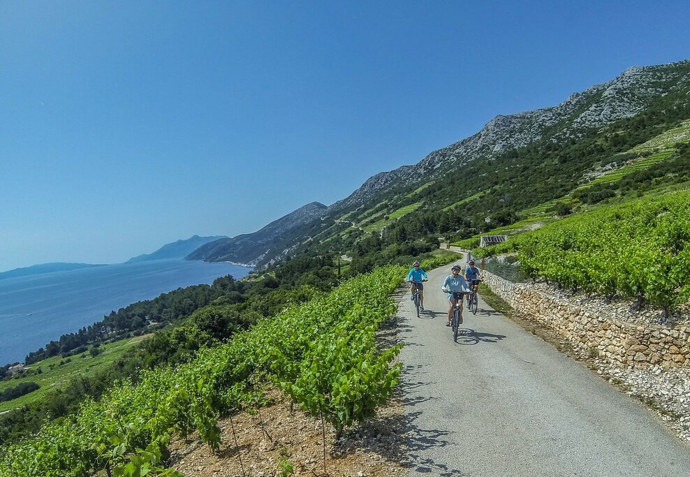 Cycle along the Pelješac Peninsula