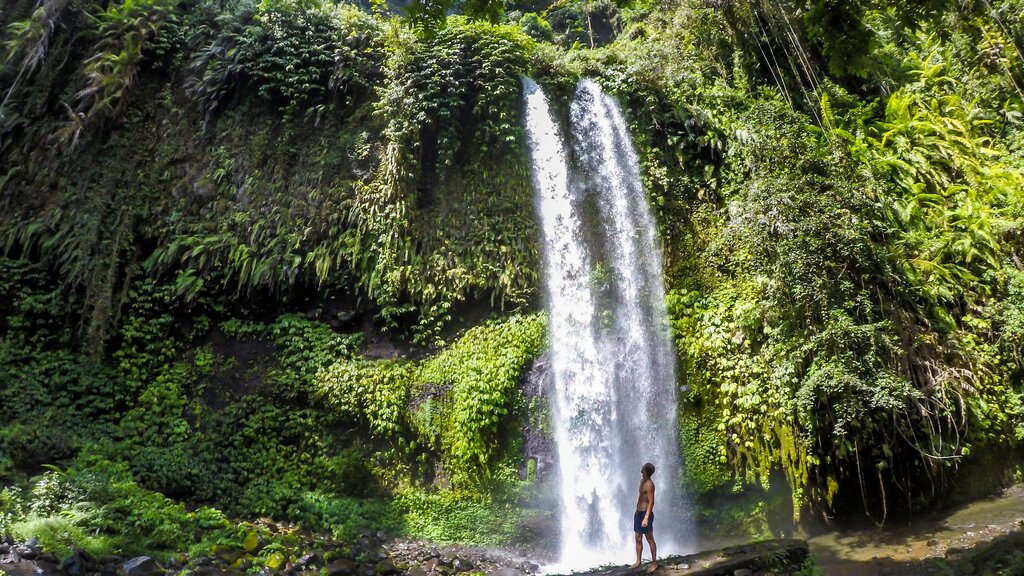 South Lombok landscape