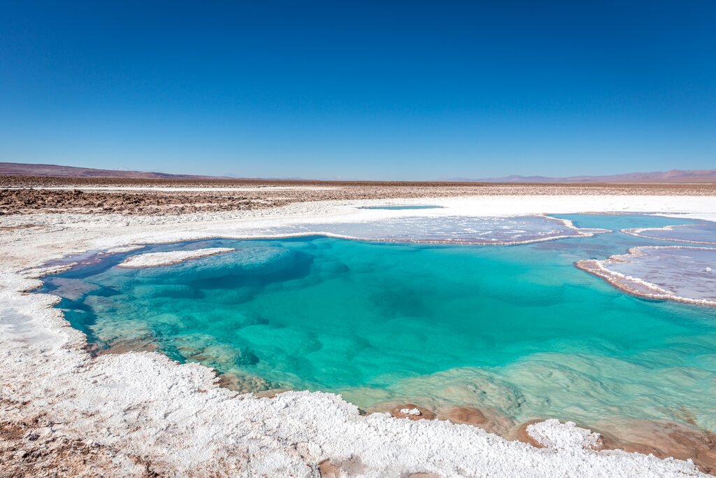 Visit the salt-laden Baltinache Lagoons