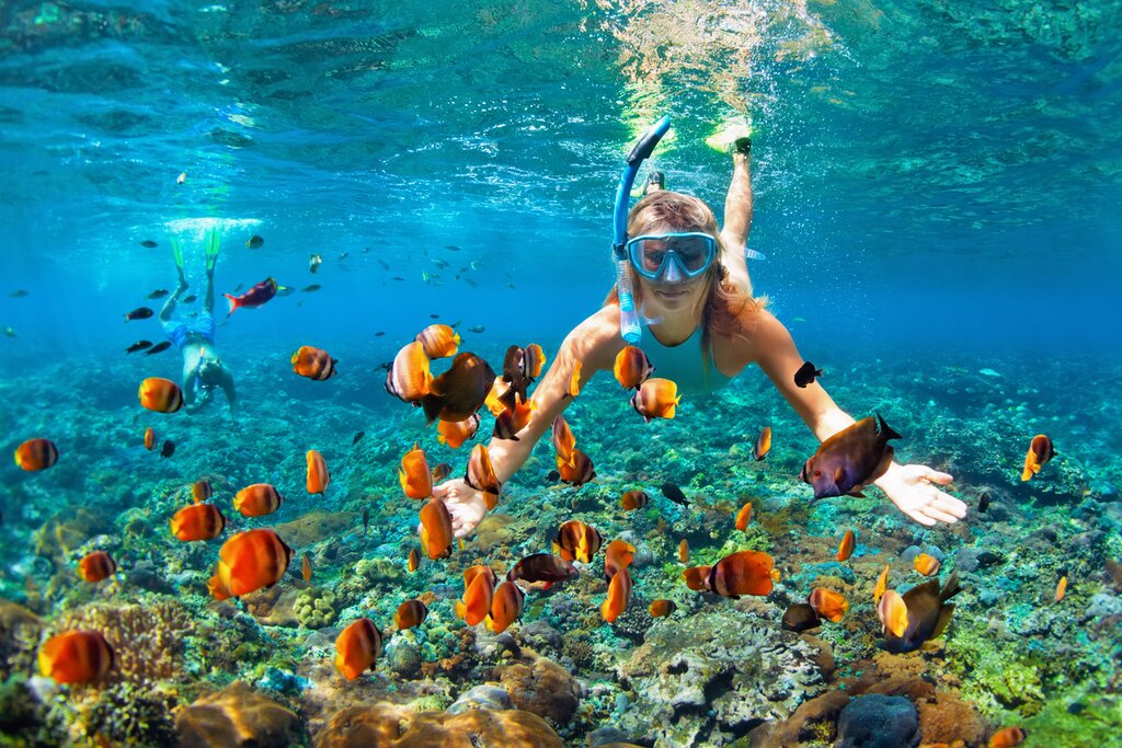 Snorkeling in Menjangan