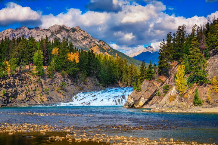 Private Discover Banff and it's Wildlife