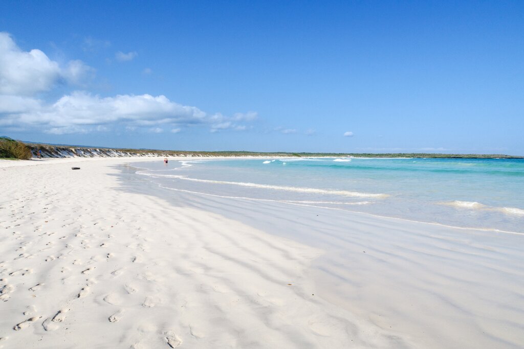 Experince one of the archipelago's most pristine beaches at Tortuga Bay