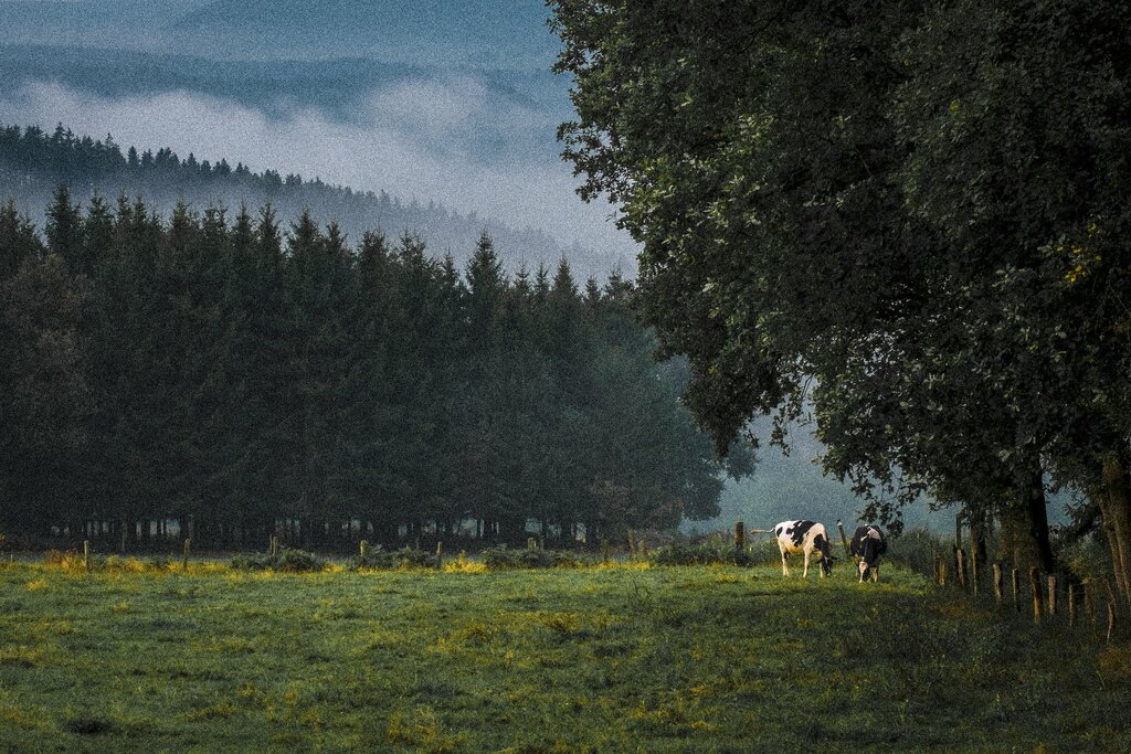 Day at leisure in Ardennes