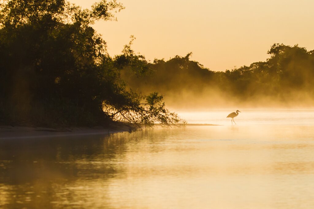 The Pantanal at dawn