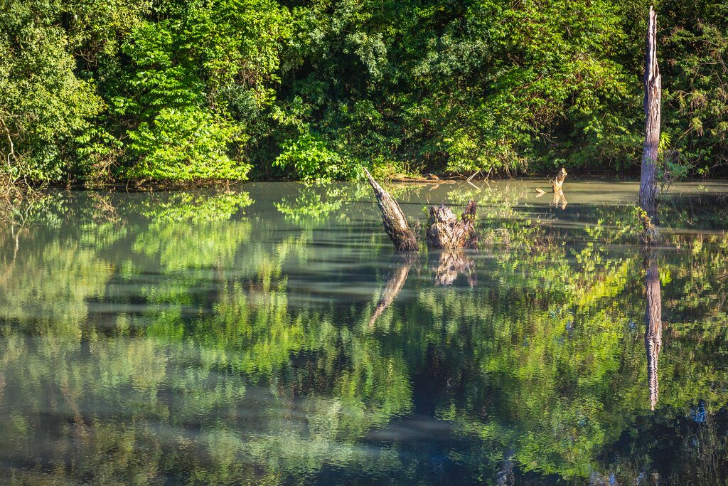 The calm waters of Iguazu River