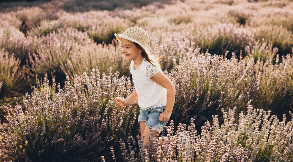 Enjoying the lavender fields of Provence