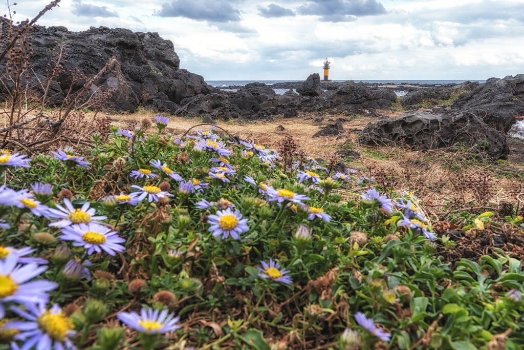 Udo Island Discovery