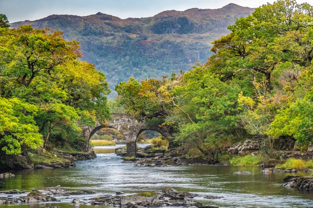 Old bridge over a lake with forest backdrop