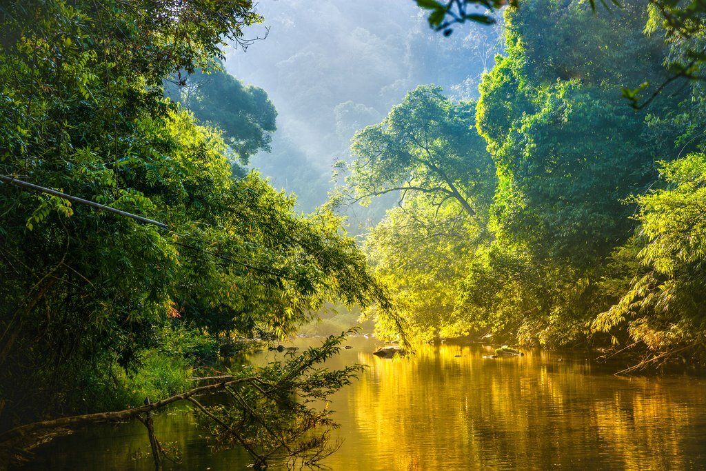 Sunshine reflection on the Amazon River