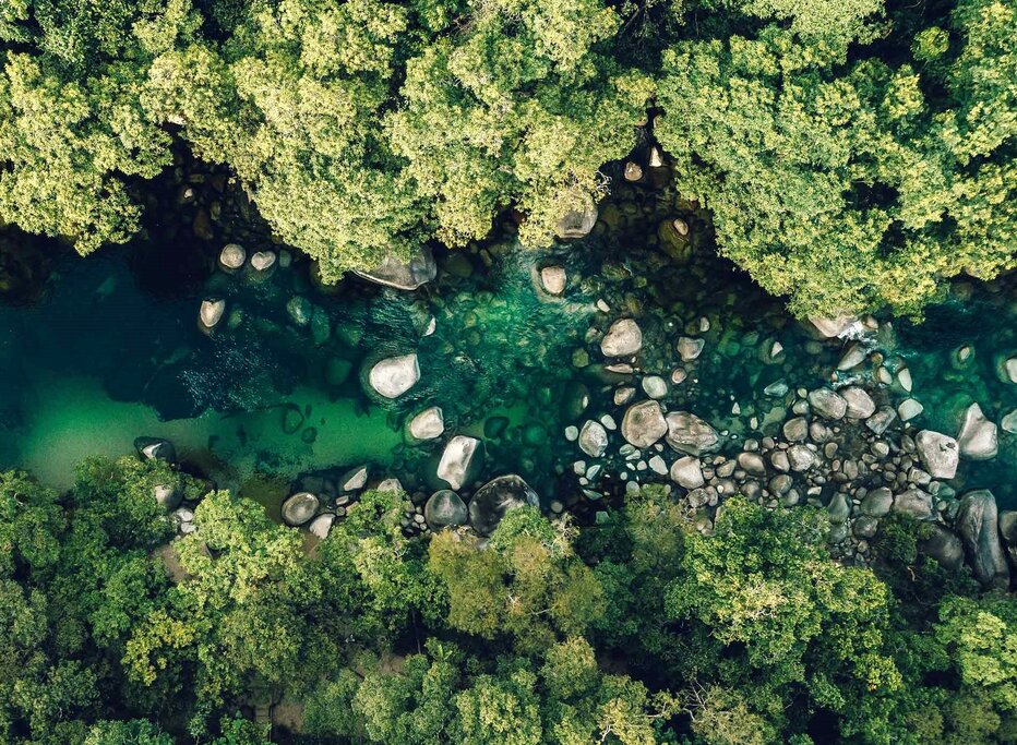 Your 10-day luxury tour ends in the ancient Daintree Rainforest at a 5-star eco-retreat (photo courtesy of SilkOaks Lodge)