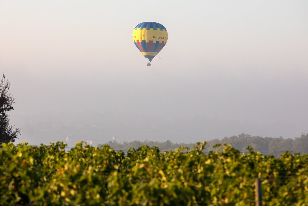 Saint Emilion Wine Region Shared Hot Air Balloon Flight