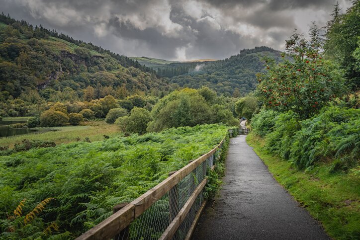 Hike to Roundwood