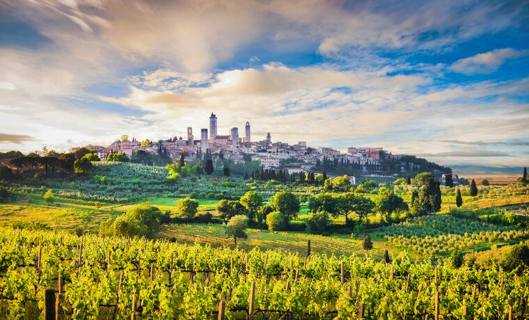 Wind your way through wine country on your way to San Gimignano