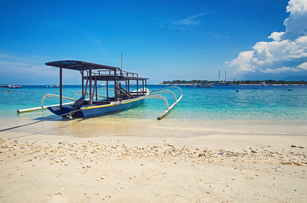 Keep your eyes peeled for sea turtles as you cruise through the ocean