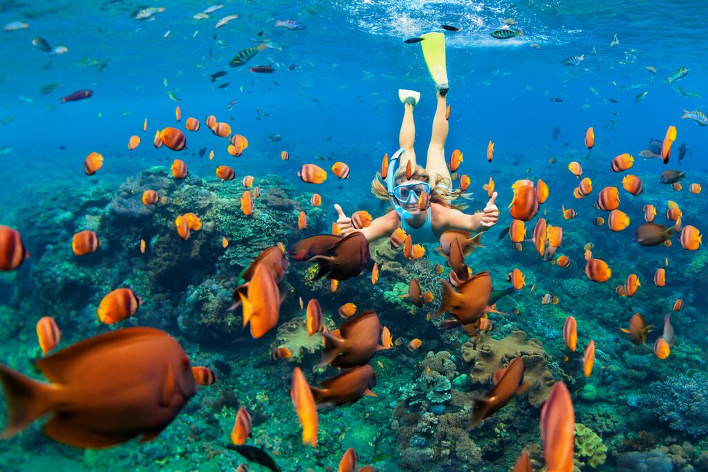 Full-Day Tour in Praia do Forte