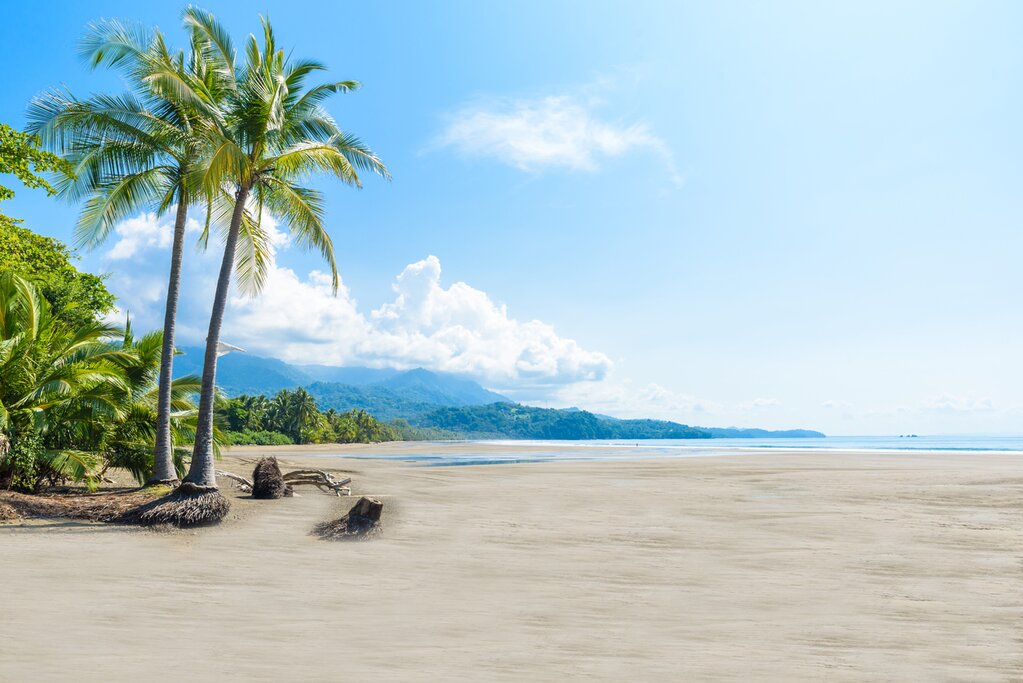Discover the unspoiled Pacific beaches of Marino Ballena National Park
