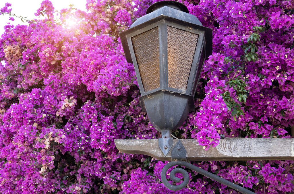 Discover under-the-radar treasures in Argentina and Uruguay on this weeklong tour
