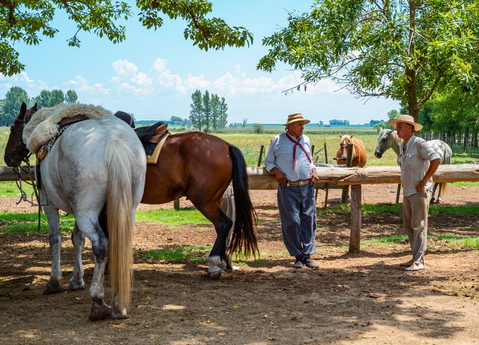 Go on wine tours and learn about life as a  gaúcho among other adventures in Argentina