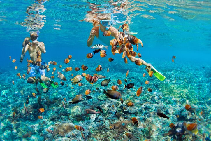 Snorkeling at Glover's Reef Atoll