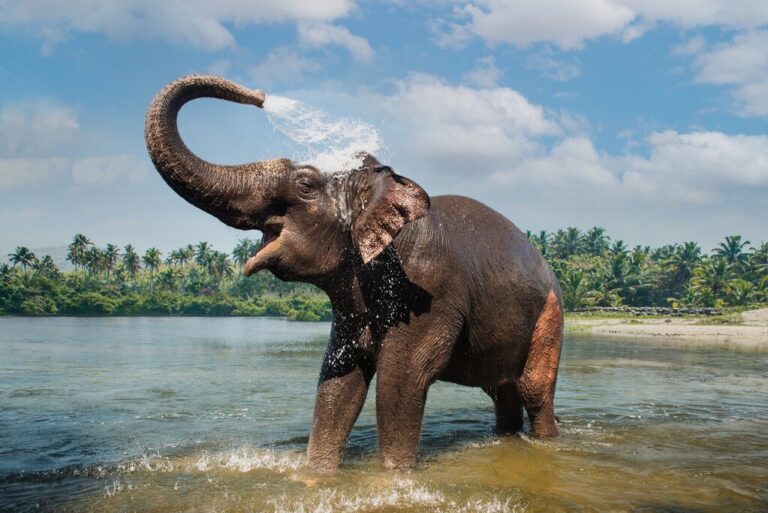 2 Weeks in India - 2 Unique Itinerary Ideas