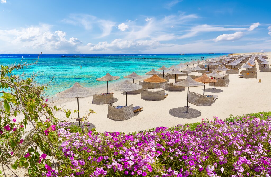 Sunbathe on the beaches of the Red Sea during this 13-day Egyptian adventure