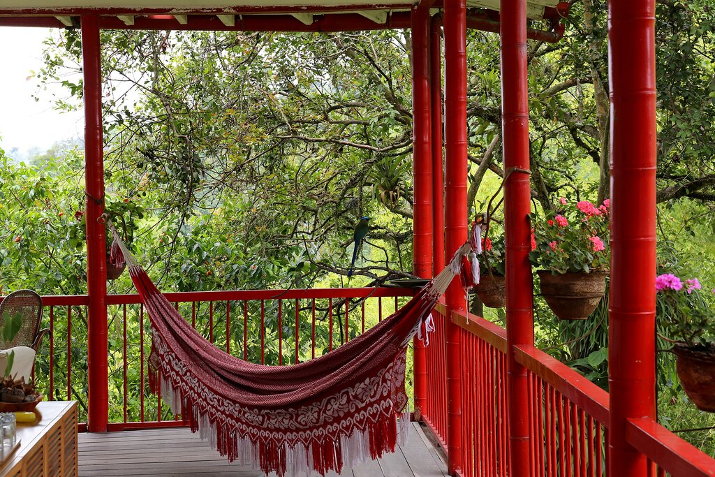 In between stays in Bogotá and Cartagena, you'll relax amid the lush coffee estates of the Zona Cafetera