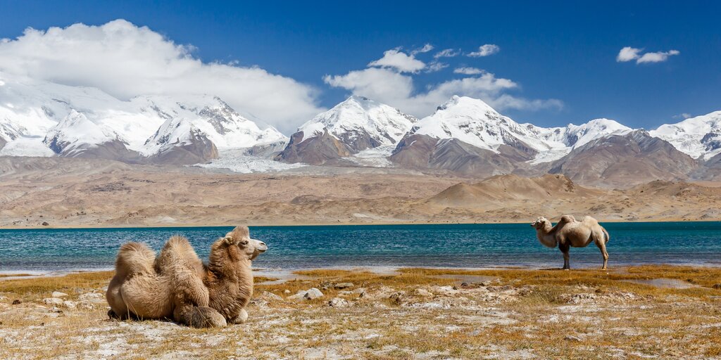 One Day for Karakul Lake, Muztag Ata