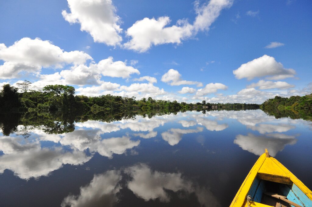 Spend four nights canoeing and hiking in the Amazon at a rainforest lodge