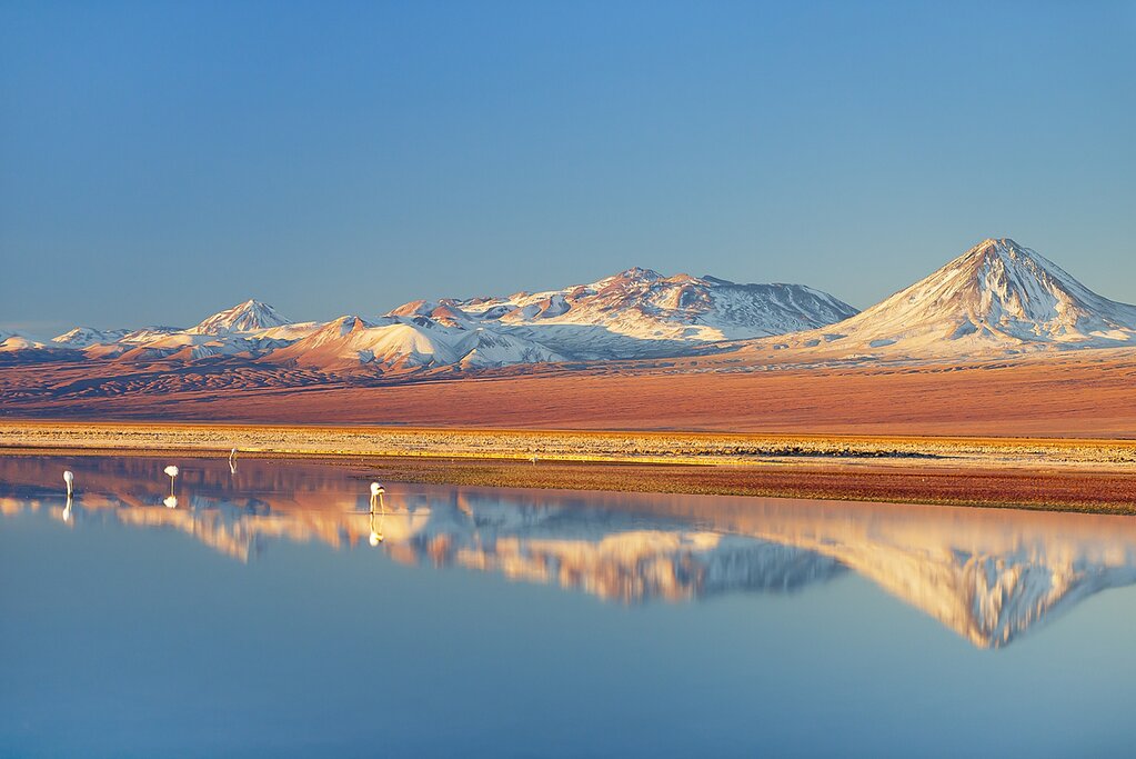 See the deserts and lagoons of the Atacama before flying south to Patagonia