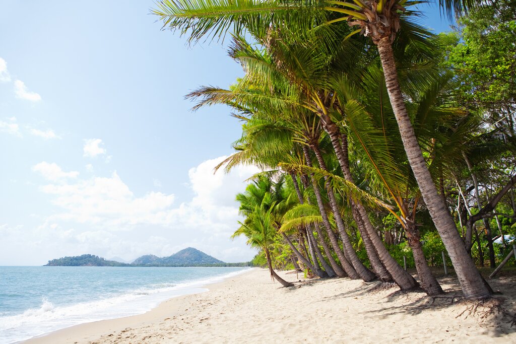 Palm Cove
