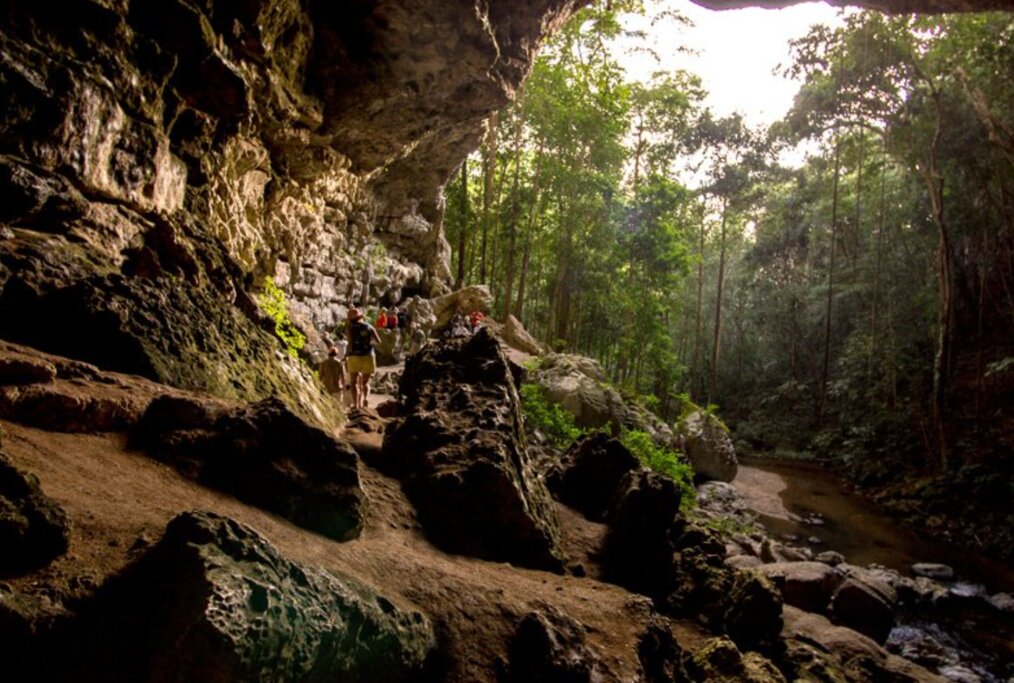 Moutain Pine Ridge