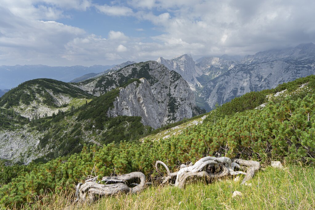 View from Debela Pec