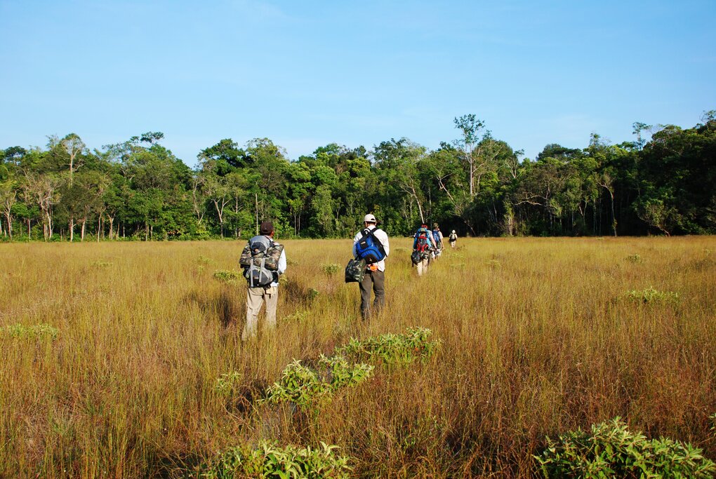 Trekking at Chi Phat