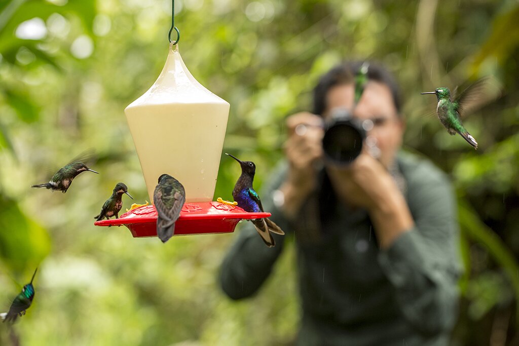 Day 4 Mashpi Lodge - Return to Quito with Hamingbird breakfast experience.