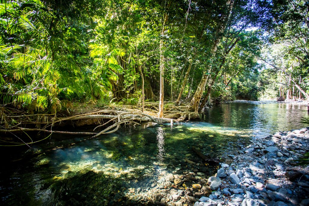 Mossman Gorge