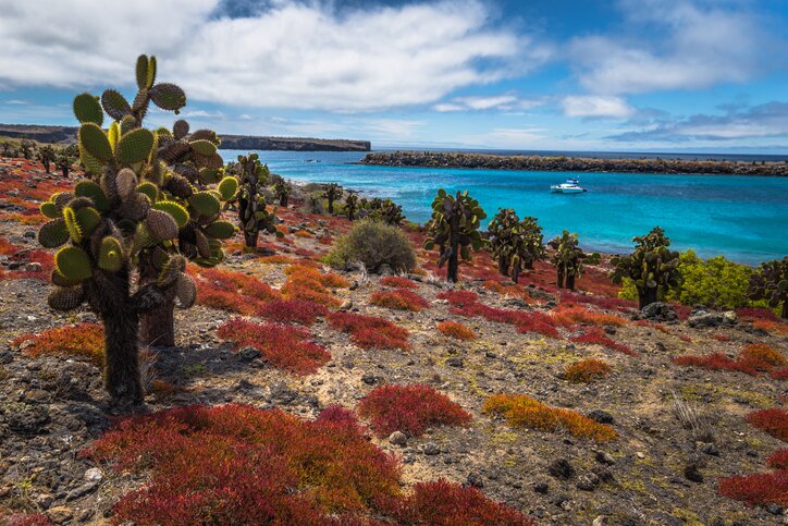 Welcome to San Cristóbal Island! Visit the Interpretation Center, Tijeretas Hill, or La Lobería