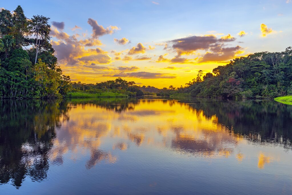 Yasuni National Park sunset