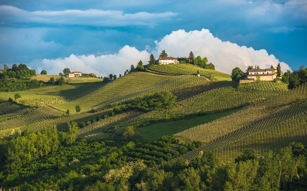 See the birthplace of the "Slow Food" movement and tour UNESCO-listed wine country in the Langhe region of Piedmont