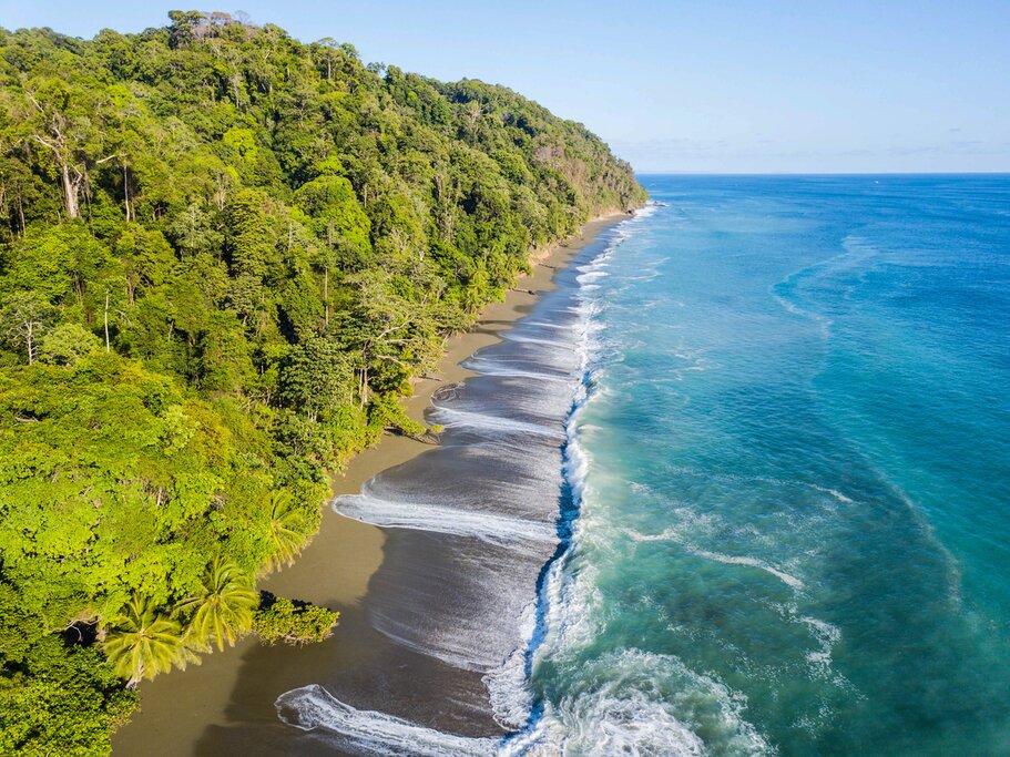 Explore the untamed coast of the Osa Peninsula and Corcovado