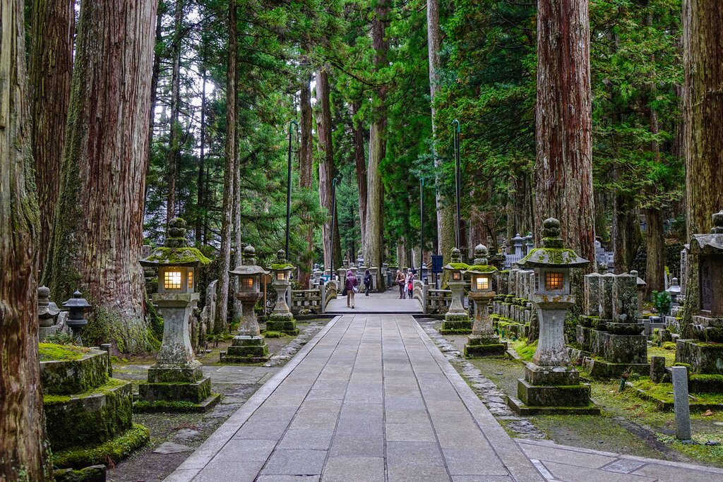 Towering cedars line the walk through Mount Koya's Okuno-in Cemetery.
