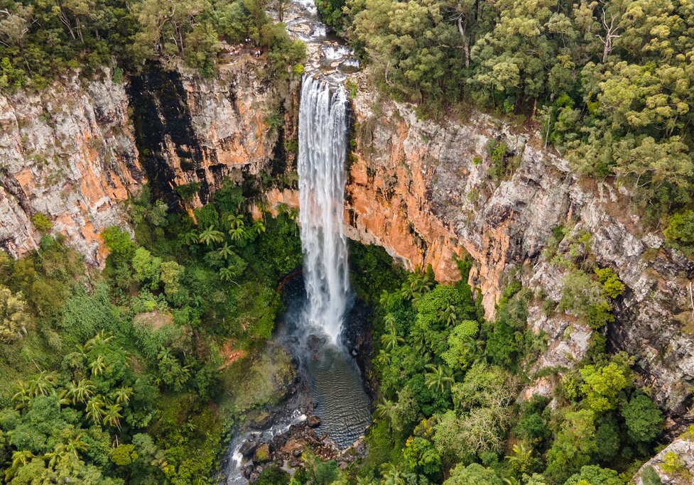 UNESCO Springbrook Rainforest and Waterfall Tour - Full Day