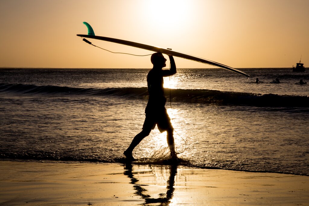 Surf's up