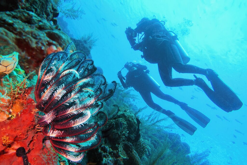 Experience the underwater world of Bali, Indonesia on this two-week tour