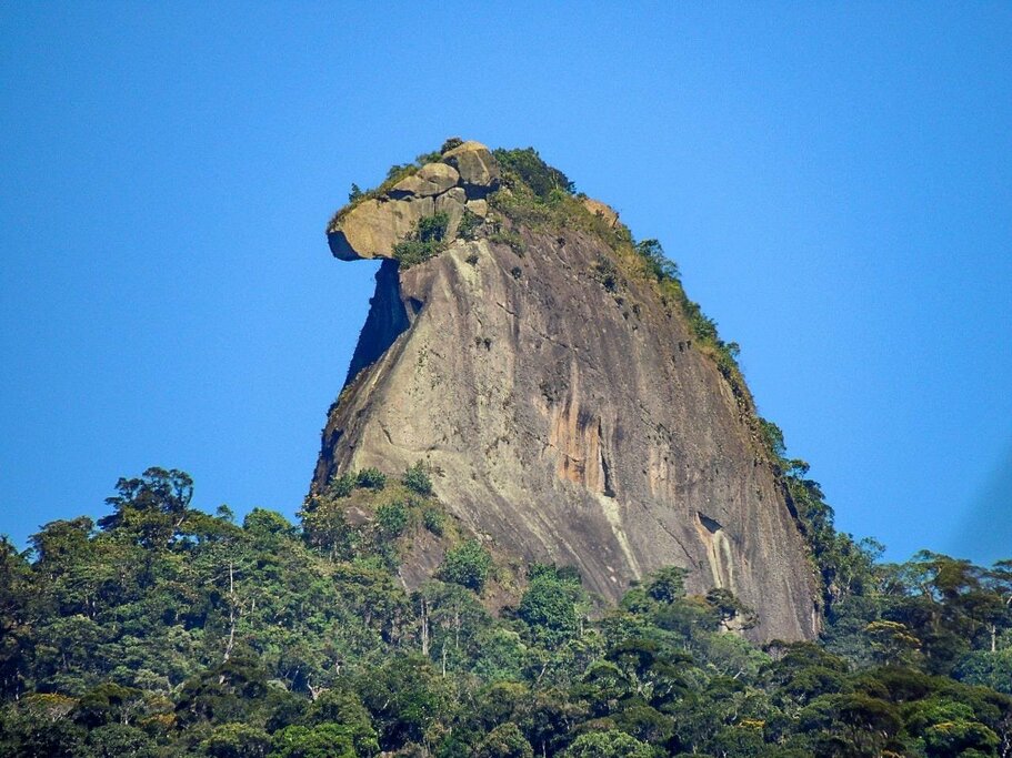 Hike up Parrot's Peak
