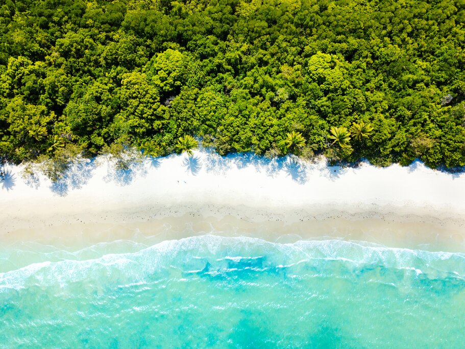Cape Tribulation Beach