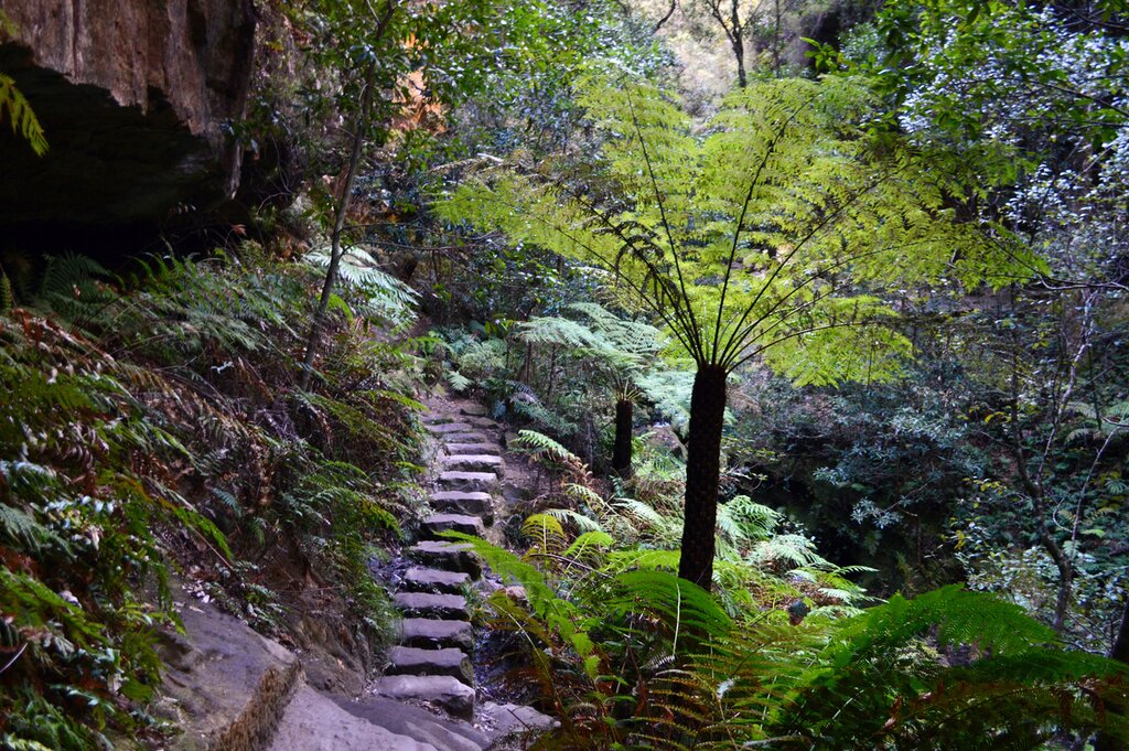 Grand Canyon Walk, Blue Mountains