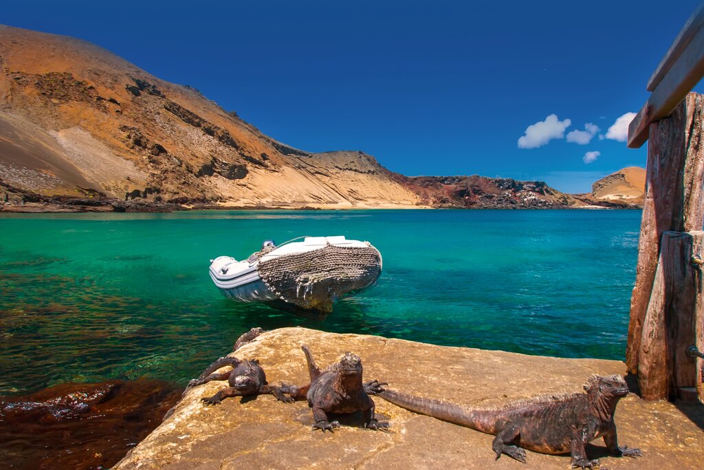 Enchanting Encore: Another Yacht Day Trip to Captivating Uninhabited Galápagos Islands (Charter)