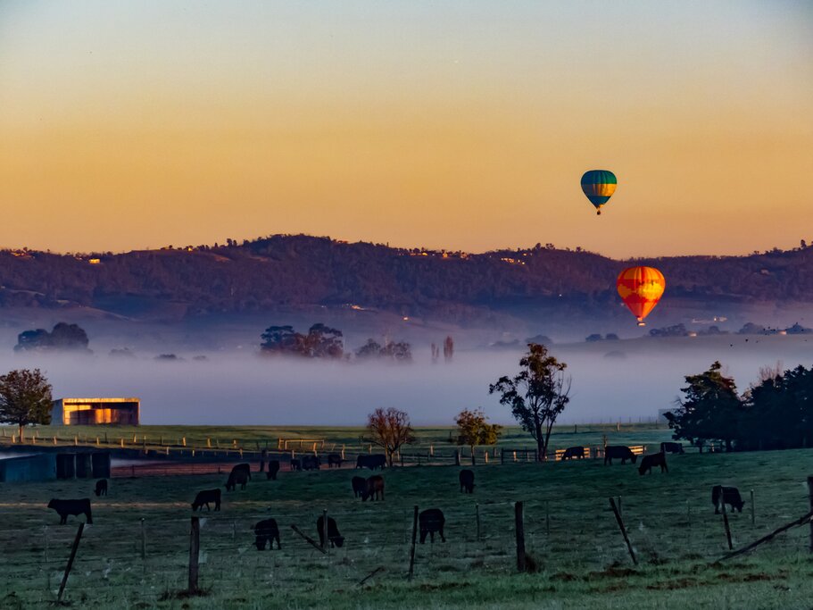 Sail in a hot-air balloon over Australia's Yarra Valley at sunrise