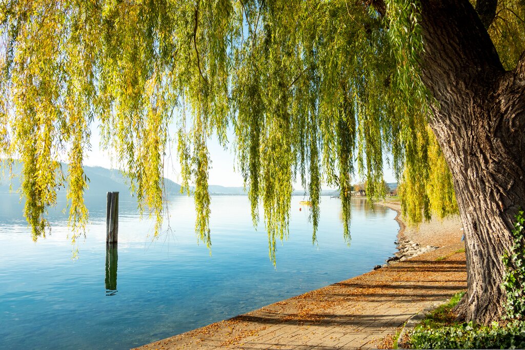 Relax on the shores of scenic Lake Constance