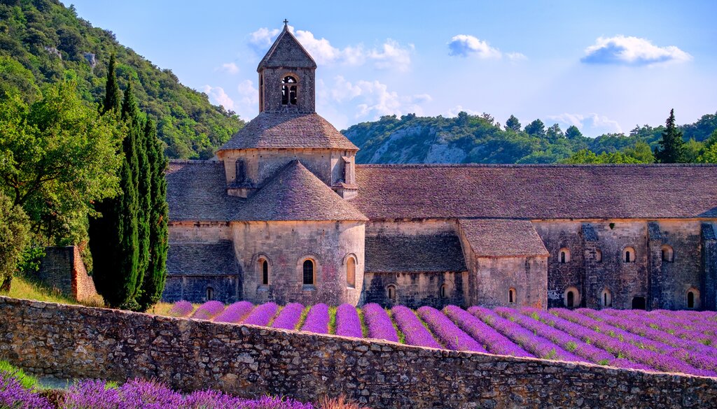 Private day to discover the Luberon and the Lavender's fields
